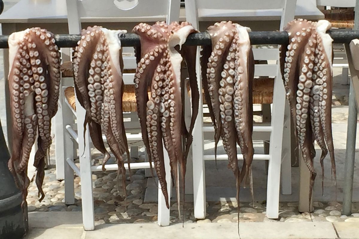 Fresh octopus tentacles hanging to dry in the sun outside a taverna in Naxos, highlighting the island's traditional seafood offerings.