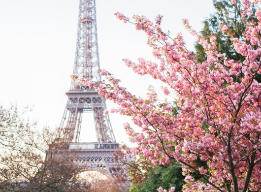 ΟΜΑΔΙΚΟ ΤΑΞΙΔΙ – DISNEYLAND & ΠΑΡΙΣΙ: ΕΚΕΙ ΠΟΥ Η ΜΑΓΕΙΑ ΣΥΝΑΝΤΑ ΤΗΝ ΠΟΛΗ ΤΟΥ ΦΩΤΟΣ